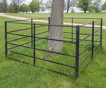 5-bar metal tree fences for protecting mature trees