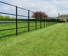 Traditional-style 5-bar steel estate and parkland fencing