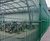 Ultimate Extra™ profiled panel fencing 3