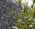 StoneFence decorative gabion walling system 11