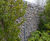 Exempla™ mesh fencing secures animals at Chester Zoo 2