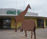 Exempla™ mesh fencing secures animals at Chester Zoo - on this page