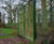 Secure fencing and gates protect forest research sites 6
