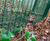 Secure fencing and gates protect forest research sites 1