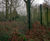 Secure fencing and gates protect forest research sites 7
