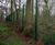 Secure fencing and gates protect forest research sites 8