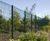 Exempla™ profiled welded mesh panel fencing system 7
