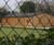 Pavilions for Cowley and Bessingby Bowls Clubs 1