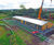 New visitor centre and decking for Potteric Carr Nature Reserve 2