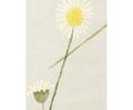 DAISY CHAIN bespoke hand-knotted wool and silk rug