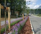 Grounds maintenance services