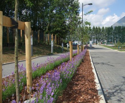 Grounds maintenance services