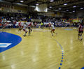 Arenaflex Stadium on Flexbat hardwood flooring systems