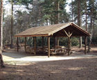 Forest timber shelter