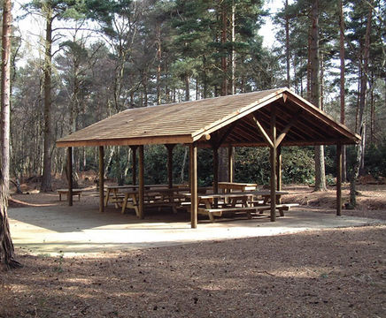 Forest timber shelter