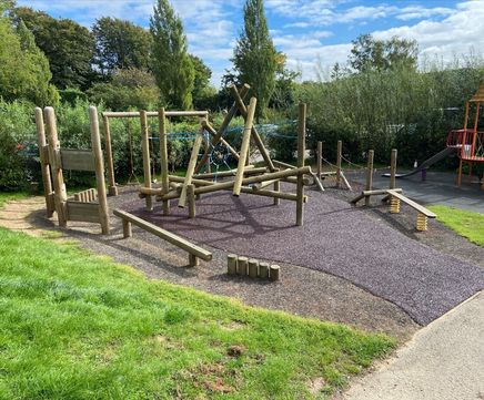 Dinosaur Nest medium-sized free-form timber climber