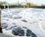 VWT UK helps Heathrow hit environmental milestone 0