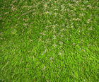 Pro Play artificial grass