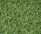 Classic Meadow Artificial Grass