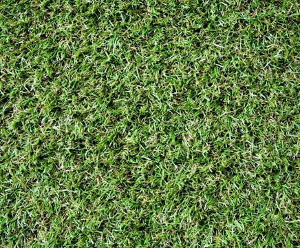 Classic Meadow Artificial Grass