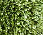 Challenger 24 artificial sports turf