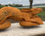 Leaping Hare cast iron sculpture – Hope Fields 1
