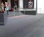 Evergreen Debris Channel entrance mat with DC001 infill