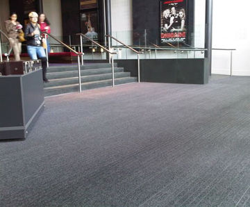 Evergreen Debris Channel entrance mat with DC001 infill