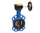 Fully Lugged Double Regulating Butterfly Valve