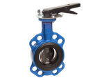 Semi-lugged butterfly valves - lever