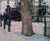 Addastone TP - porous resin bound tree pit surfacing system 11