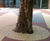 Addastone TP - porous resin bound tree pit surfacing system 12