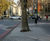 Addastone TP - porous resin bound tree pit surfacing system 9