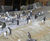 Resin surfacing for the Penguin Pool, Edinburgh Zoo 0