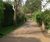 Terrabound resin bound surfacing, coach house driveway 4