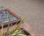 Surfacing for new breast cancer support centre 4