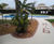 Resin bound porous surfacing for Spanish pool surround 1