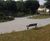 Resin bonded pathways for New Jersey park renovation 6