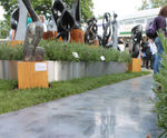Designer pathway for Guruve at RHS Chelsea Flower Show