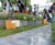 Designer pathway for Guruve at RHS Chelsea Flower Show 0
