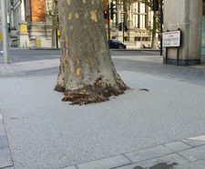 Redevelopment of Exhibition Road tree pits