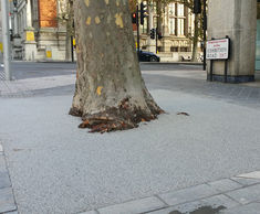 Redevelopment of Exhibition Road tree pits
