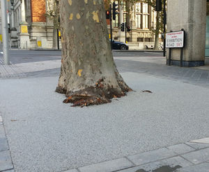 Redevelopment of Exhibition Road tree pits