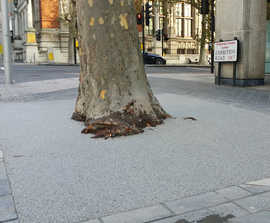 Redevelopment of Exhibition Road tree pits