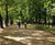 Bound surfacing - cycle superhighway, Constitution Hill 0