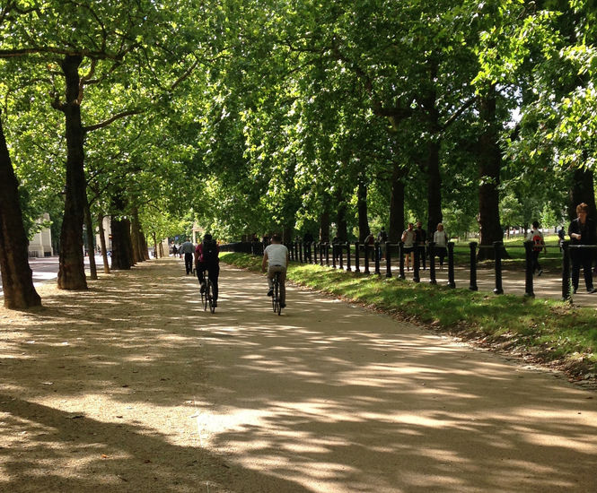 Bound surfacing - cycle superhighway, Constitution Hill