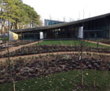 Resin bound pathways for new hub for visually impaired - on this page