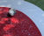 Colourful light-emitting surfacing for private garden 2