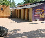 Resin bound paving for new adventure zone at London Zoo - on this page