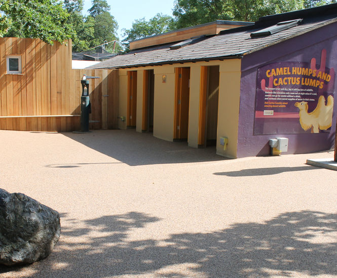 Resin bound paving for new adventure zone at London Zoo